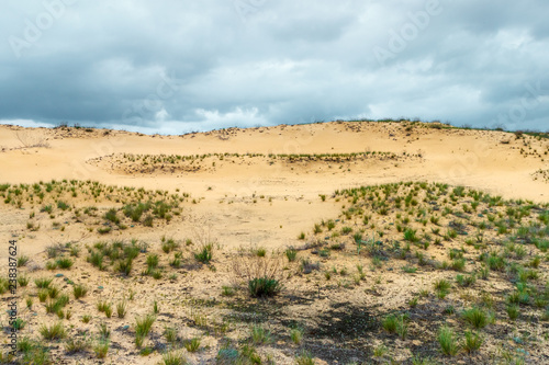 The sandy desert with poor dry vegetations and cloudy stormy sky. Rostov-on-Don region, Russia