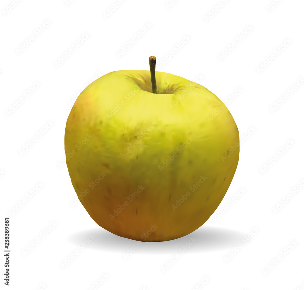 Photo realistic apple. Green apple with shadow in editable vector format. 