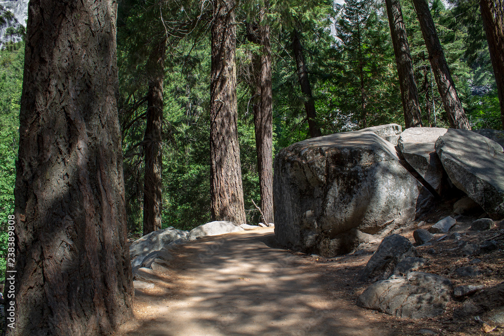 Obraz premium Yosemite National Park