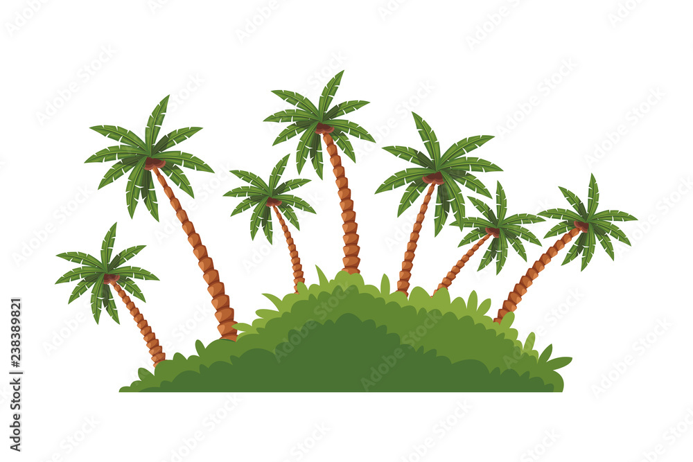 Fototapeta premium island palm tree