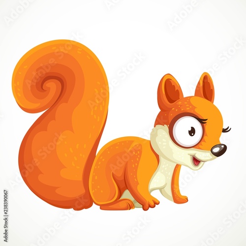 Cute fluffy squirrel cartoon standing on four legs isolated on white background