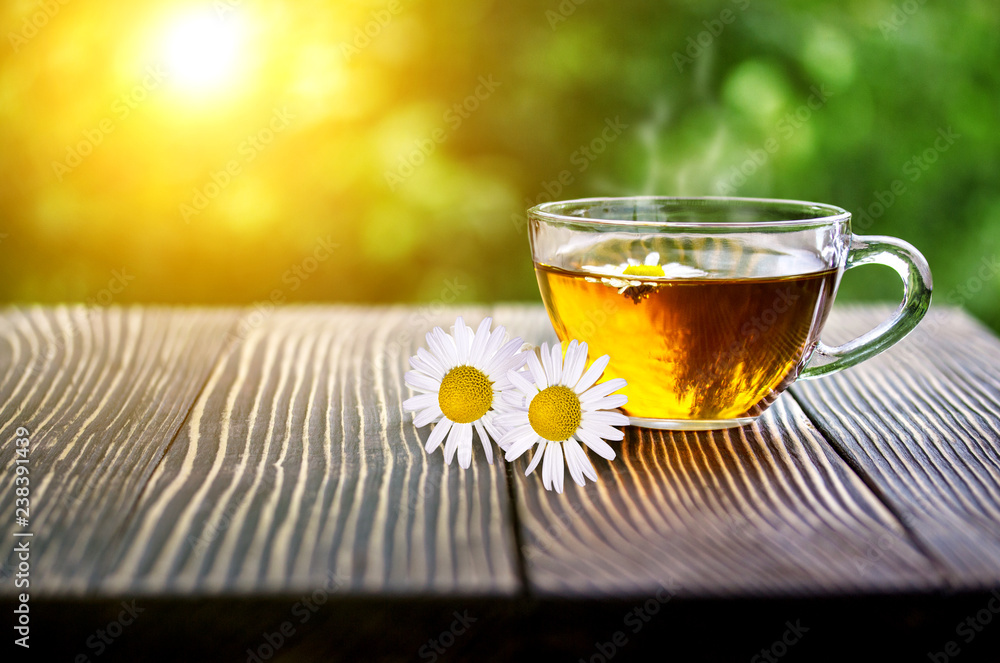 cup of chamomile tea with chamomile flowers - obrazy, fototapety, plakaty 