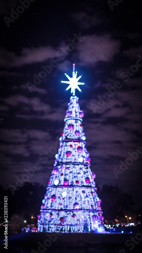 Arvore de Natal