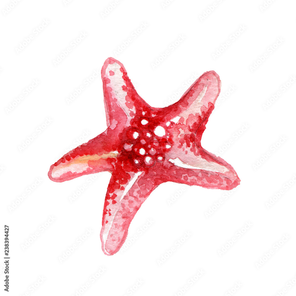 Red Starfish Red Starfish