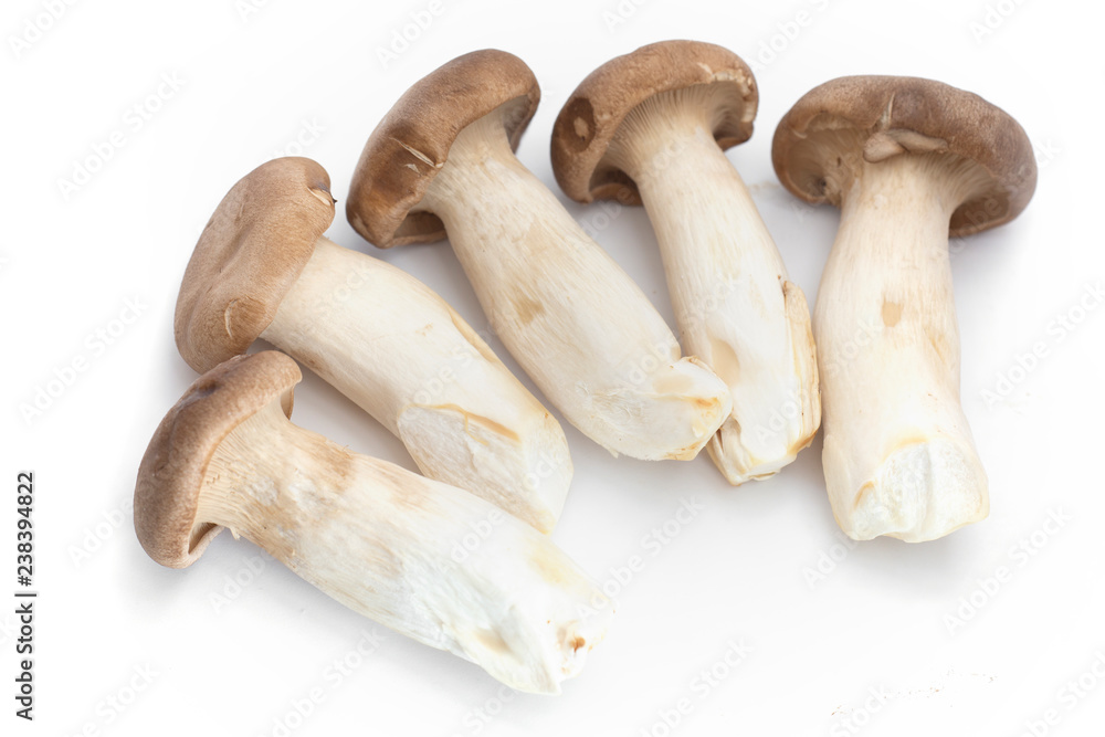 Fototapeta premium King Oyster Mushroom on white background.