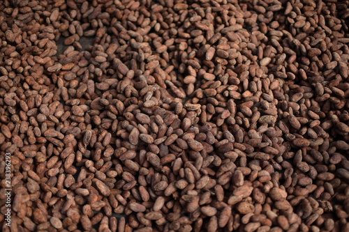 Cacao en Nicaragua