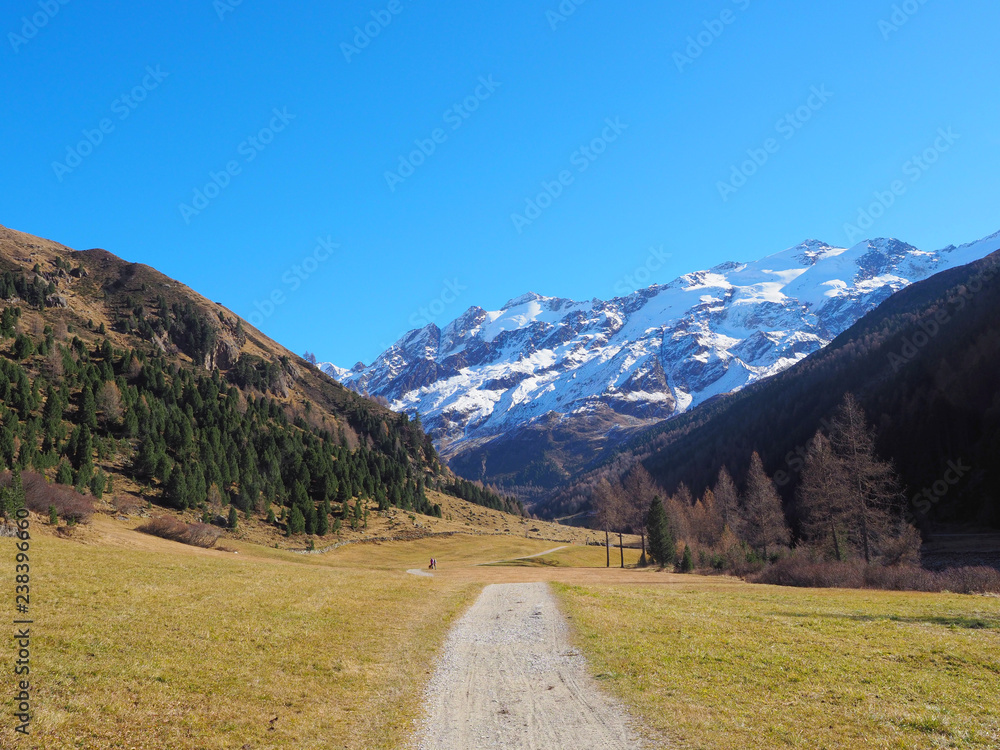 Südtirol - Wanderweg in Melag