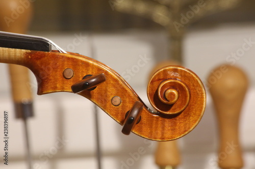 Violin scroll, head details with pegs. Selective focus, blurred background.