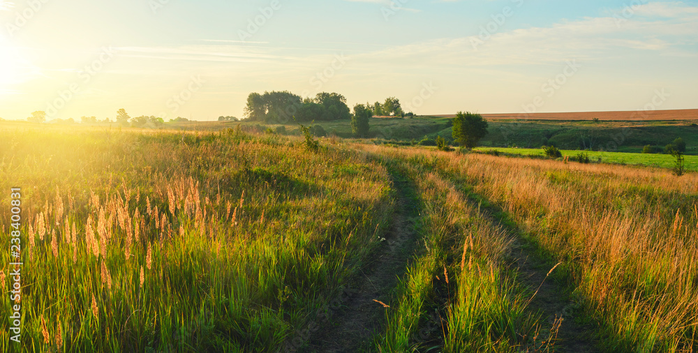 Fototapeta premium Sunny summer landscape with ground country road passing through the fields and meadows