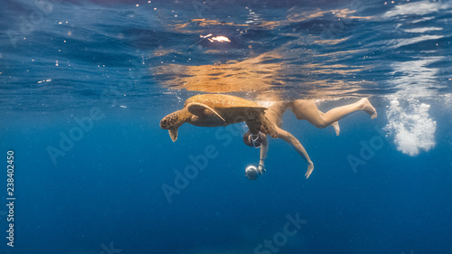 Sexy woman in bikini swims with a green sea turtle © SaltedLife