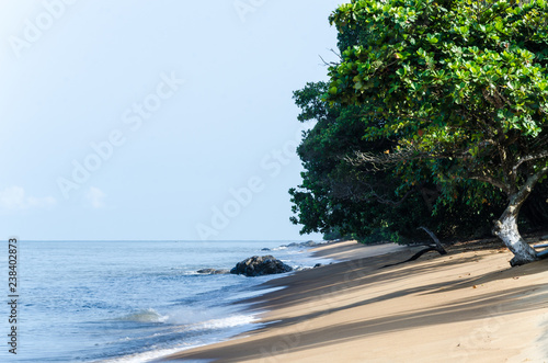 Deserted sandy beach with green trees at coast of Cameroon near Kribi. photo