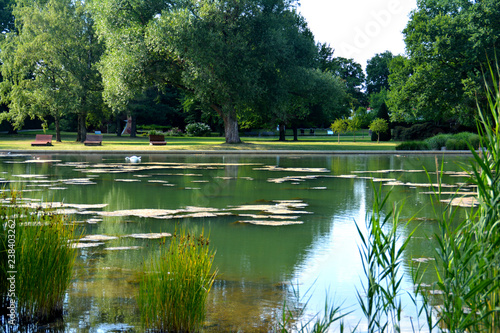 Kurpark mit See