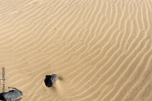 Sand on the beach. Sandy beach for background