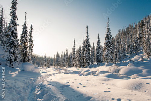 Winter hike in the reserve "Kuznetsky Alatau"