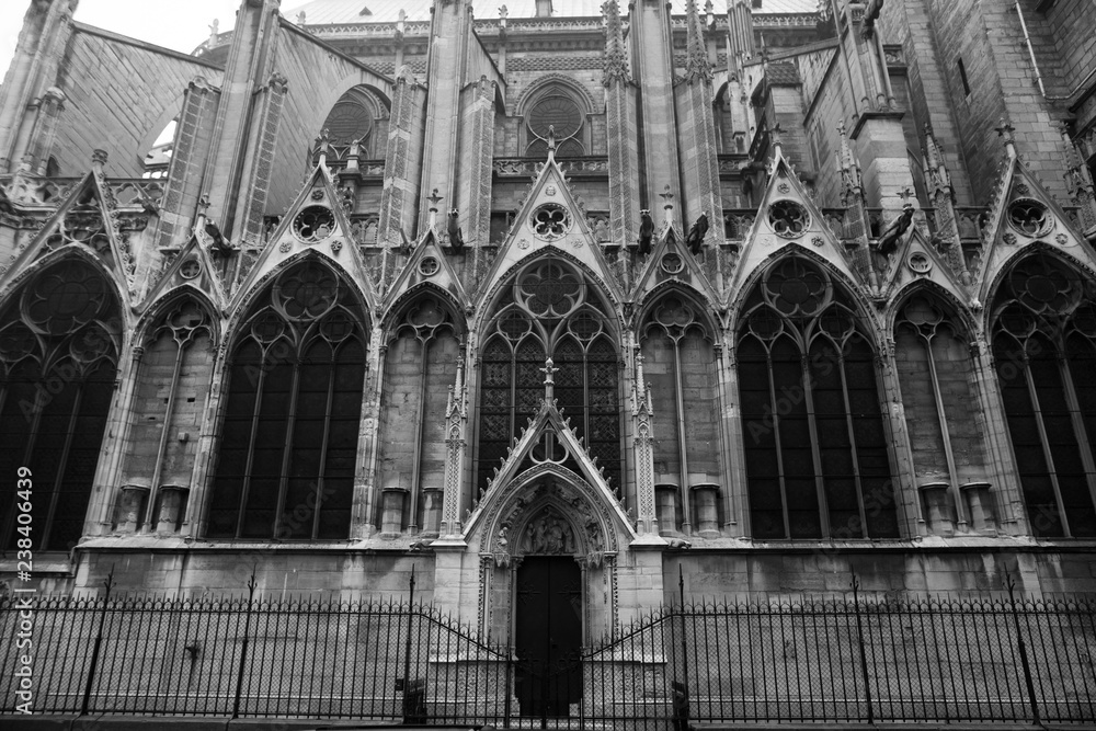South side view of Notre-Dame de Paris Cathedral. Paris, France