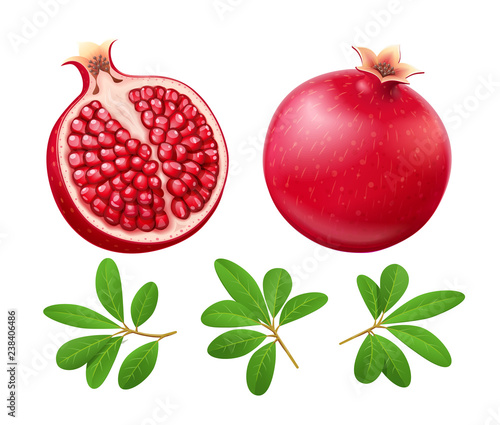 Set of Ripe juicy pomegranate. Cuted Fruit with green leaves.