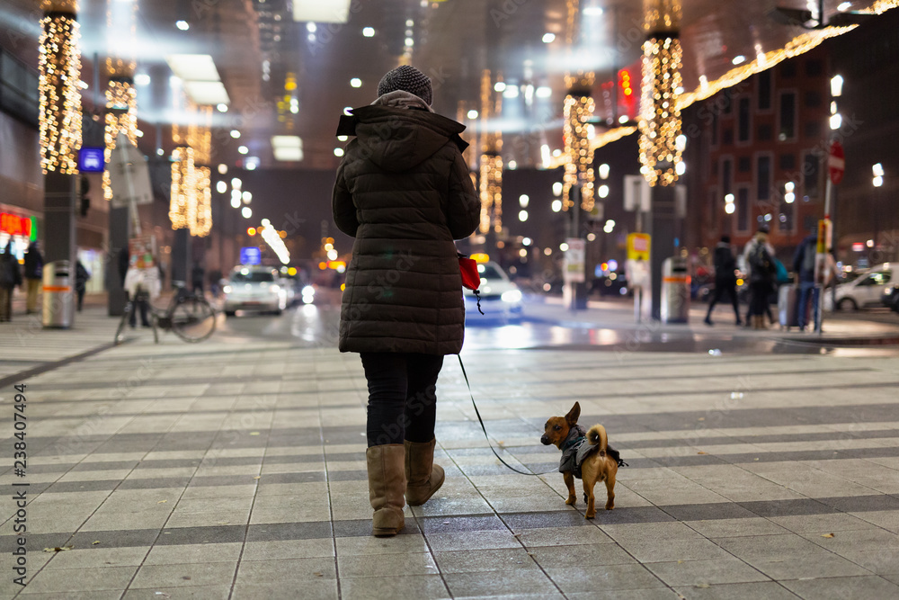 Fototapeta premium Kobieta i jej pies spacerują w mroźną zimową noc po dworcu głównym w Wiedniu