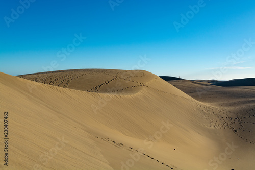 Landscape with yellow sandy dunes of Maspalomas and blue Atlantic ocean  Gran Canaria  Spain