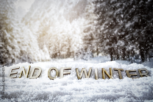 Winter text and snow decoration 
