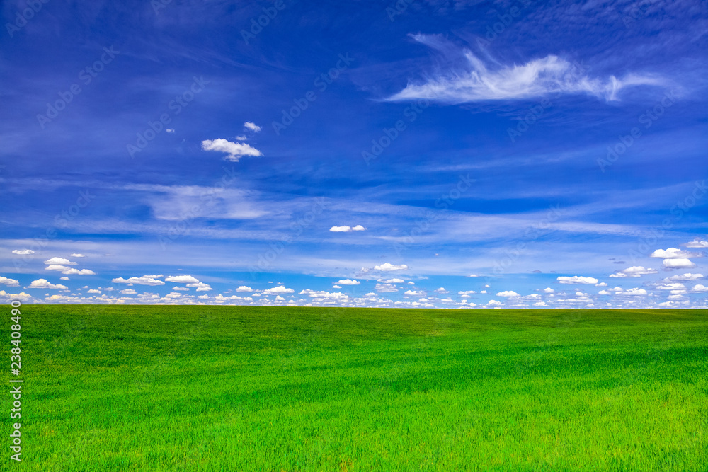 clouds over green field