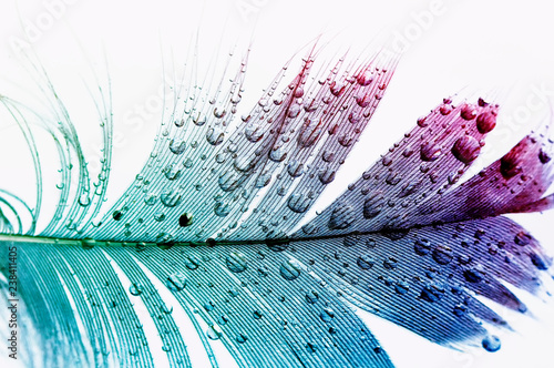 textured background with bi...