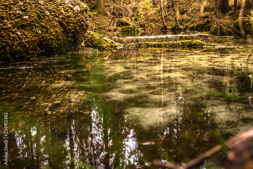 little pond in the deep forest  overlay  background  texture  composing