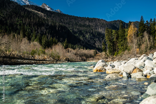 Panoramic view from bank of the river Gonachhir with pine forest and snow caucasus mountains during sunny autumn day