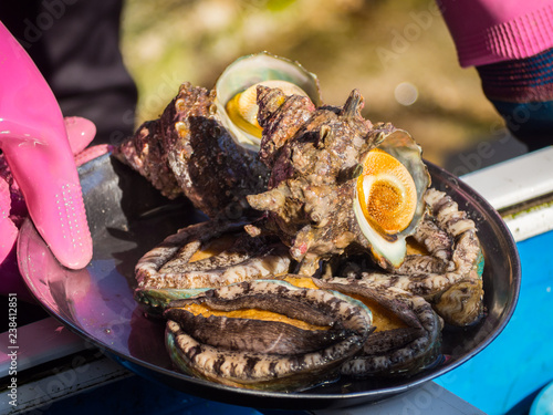 Abalones and grilled turban shells fresh for sales, collected from female divers at Jeju island, South Korea photo