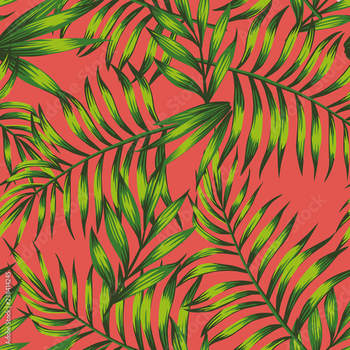 Living coral background green tropical leaves