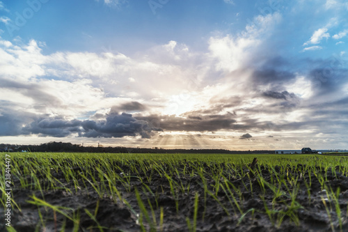 Bewölkter Dramatischer Himmel mit Feld im Fordergrung