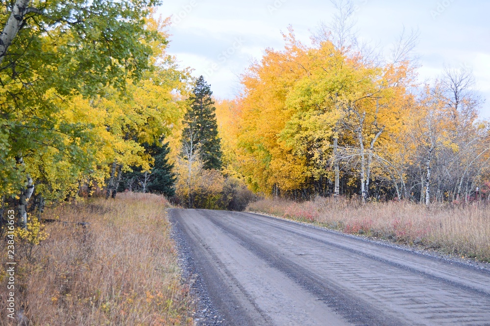 Dirt road in Fall