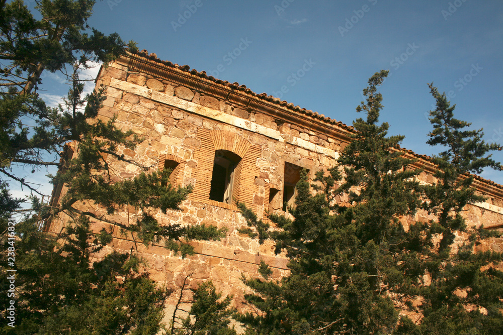 Fototapeta premium RUINS BETWEEN THE TREES