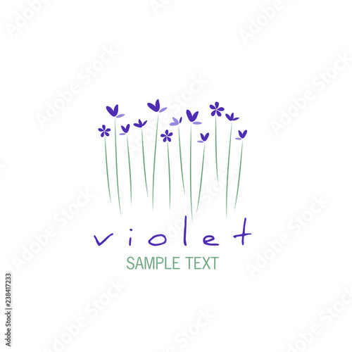 Bouquet of wild violets isolated on white background.