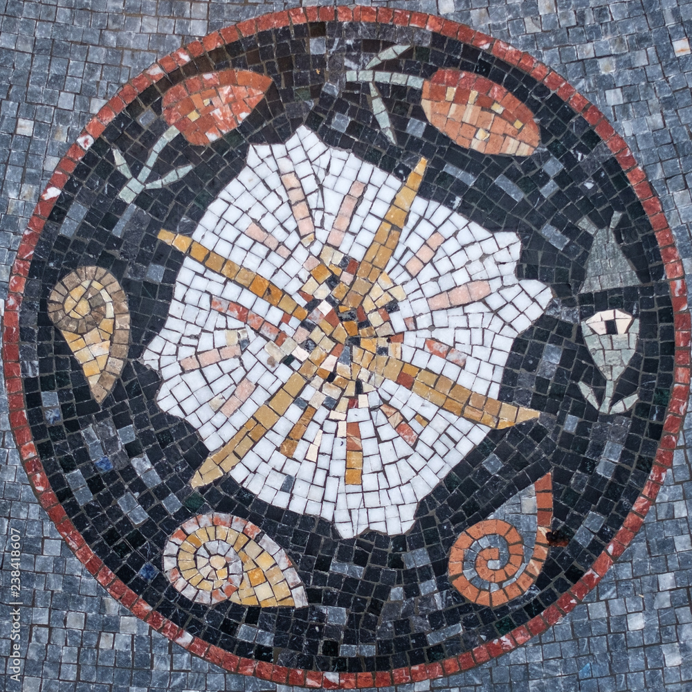 Mosaic floor with a design at the center