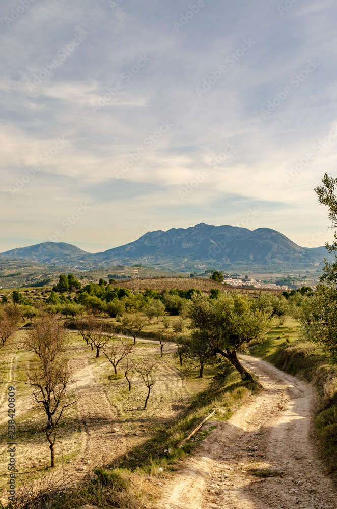 Obraz premium Spanish countryside