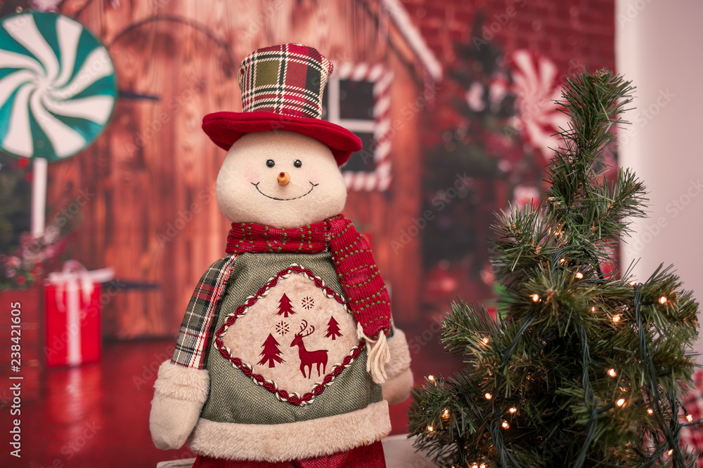 Winter holiday decorations Winter holiday decorations