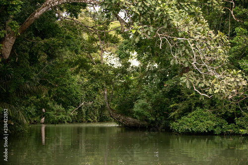 Gatun Lake - Panamá