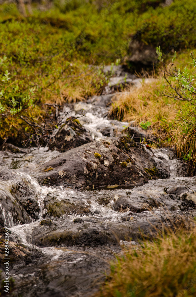 Fototapeta premium Stream in Finnish Fell in Lapland