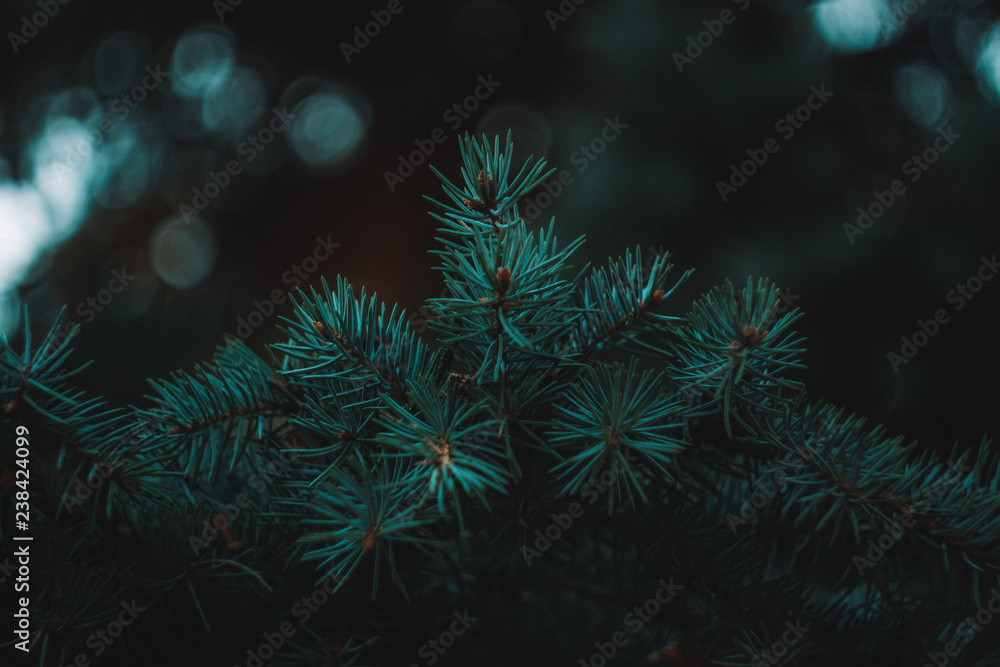 abstract christmas tree on black background