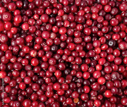 Top view of ripe cranberry, food background