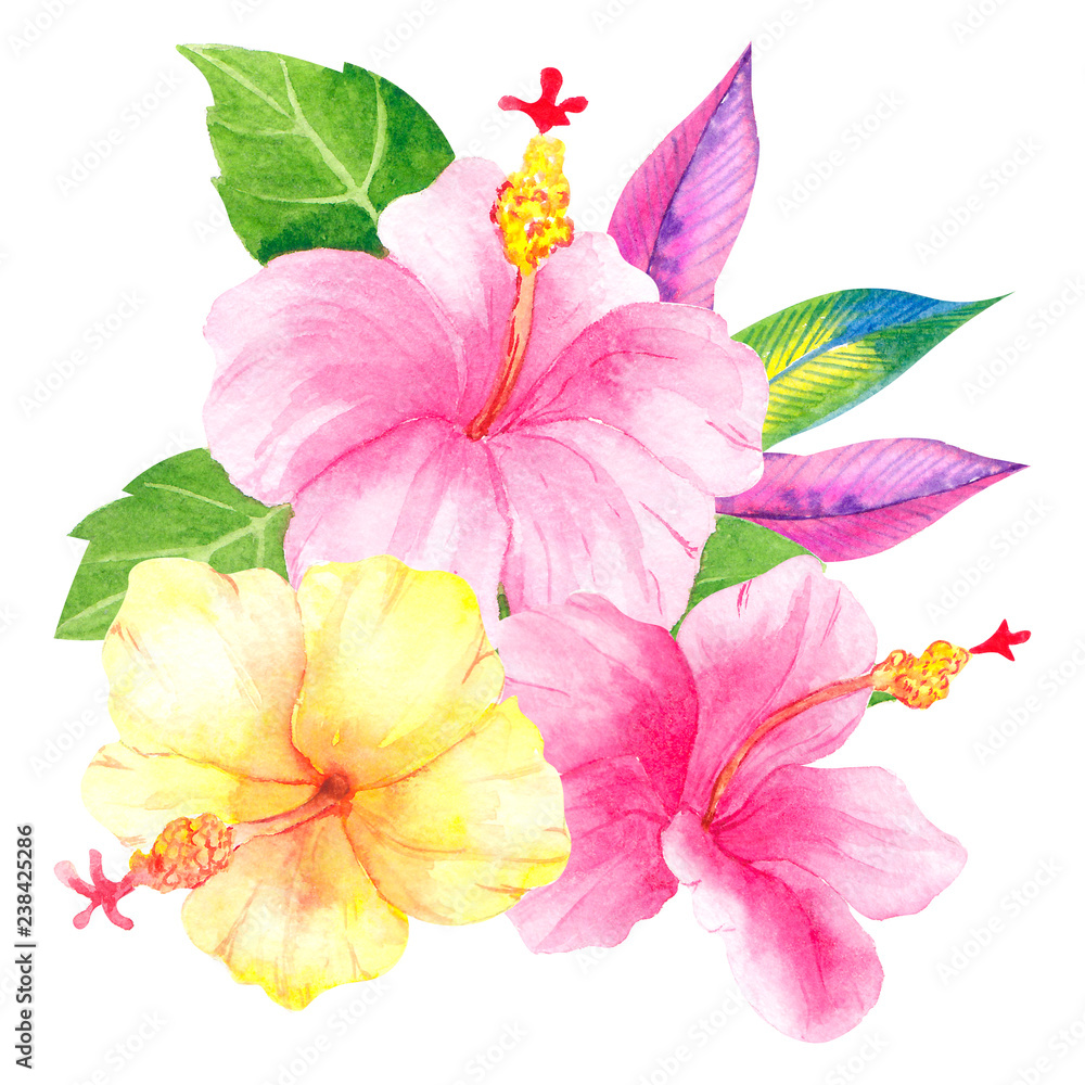 Watercolor illustration with tropical flower