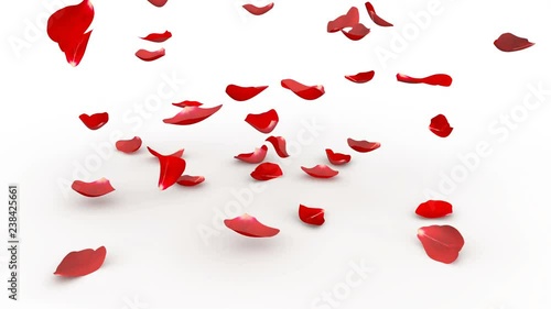 Red rose petals fly to the floor. White background. Alpha mask. 4K video quality