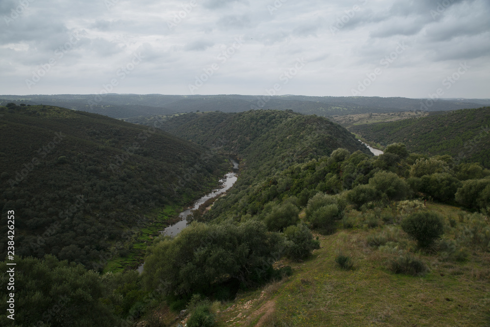Fototapeta premium Meander of the Ardila River