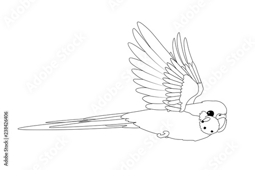 vector cartoon animal clip art