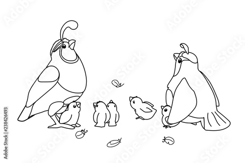 vector cartoon animal clip art
