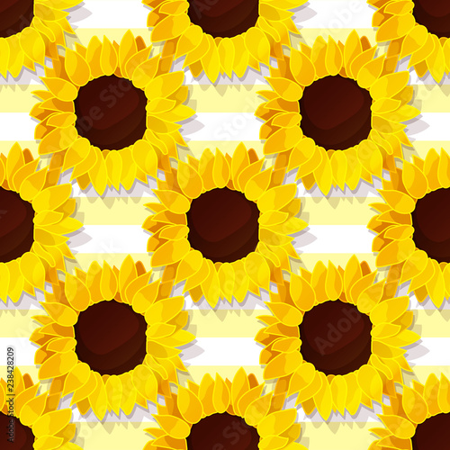 vector sunflower flower pattern