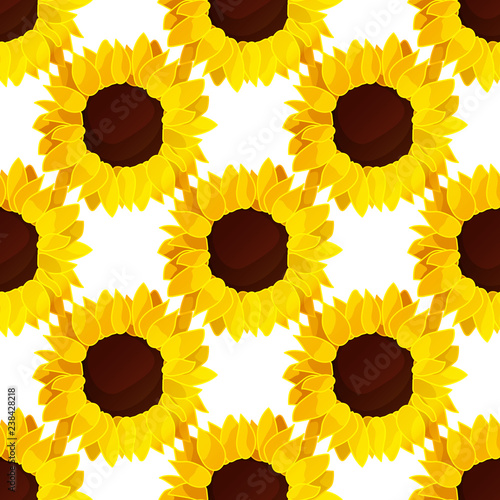 Fototapeta Naklejka Na Ścianę i Meble -  vector sunflower flower pattern
