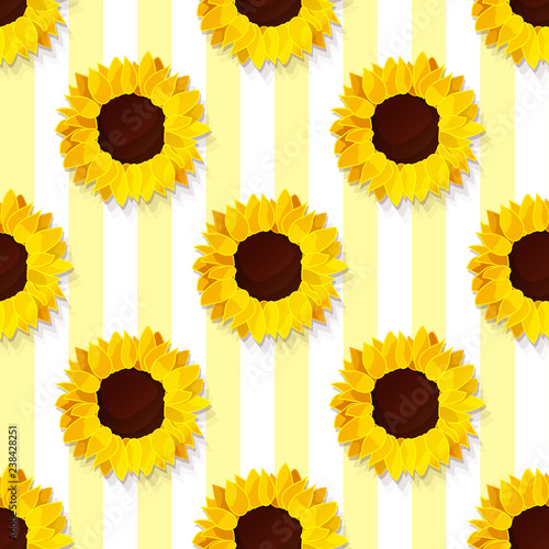vector sunflower flower pattern