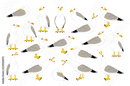vector seagull sea gull set