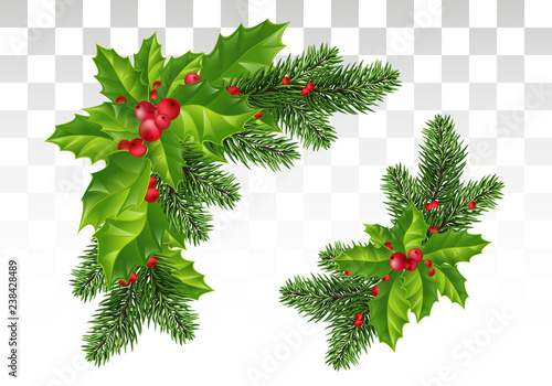Christmas decorations: Christmas tree branches and holly with red berries. Festive composition. Isolated. Eps10 Vector